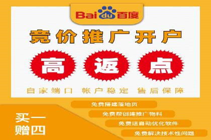 行业领先企业的百度广告推广经验分享